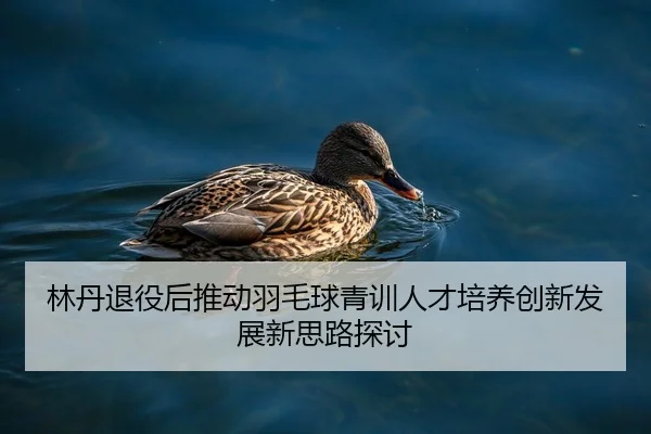 林丹退役后推动羽毛球青训人才培养创新发展新思路探讨