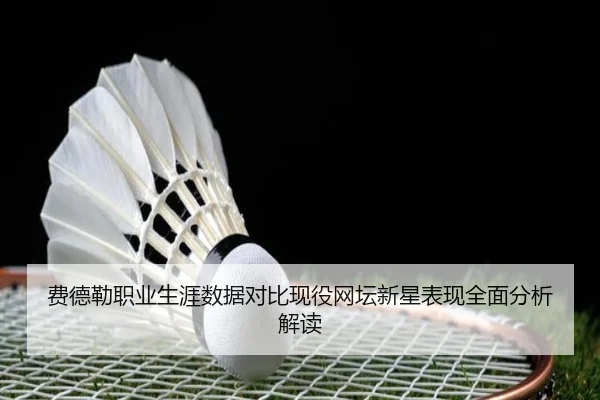 费德勒职业生涯数据对比现役网坛新星表现全面分析解读 - ONE ENTERTAINMENT